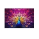 Peacock Poster (99)