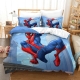 Spider-Man Duvet cover (62)