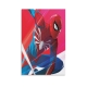 Spider-Man Poster (76)