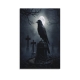 Crow Poster (33)