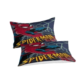 Avengers Spider Man Housse de Couette Imprimée 3D Douce 3 Pièces Literie Garçons Filles
