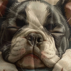 Bouledogue français Housse de Couette Imprimée 3D Douce 3 Pièces Literie Garçons Filles