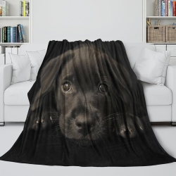 Labrador Chien Plaid en Polaire Imprimé 3D Couverture Douce Confortable pour Canapé Lit Bureau
