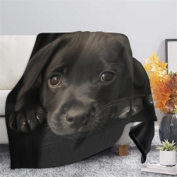 Labrador Chien Plaid en Polaire Imprimé 3D Couverture Douce Confortable pour Canapé Lit Bureau