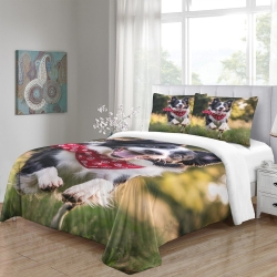 Border Collie Housse de Couette Imprimée 3D Douce 3 Pièces Literie Garçons Filles