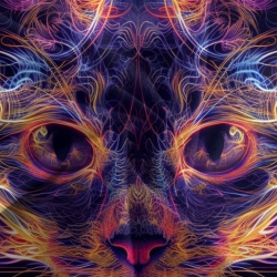 Flame Chat Housse de Couette Imprimée 3D Douce 3 Pièces Literie Garçons Filles