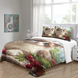 Chat ragdoll Housse de Couette Imprimée 3D Douce 3 Pièces Literie Garçons Filles