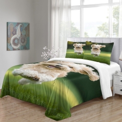 Shih Tzu Housse de Couette Imprimée 3D Douce 3 Pièces Literie Garçons Filles