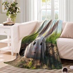 Lapin Petit lapin Plaid en Polaire Imprimé 3D Couverture Douce Confortable pour Canapé Lit Bureau