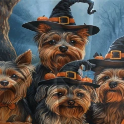 Yorkshire Terrier Housse de Couette Imprimée 3D Douce 3 Pièces Literie Garçons Filles