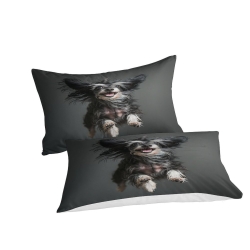 Shih Tzu Housse de Couette Imprimée 3D Douce 3 Pièces Literie Garçons Filles