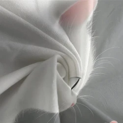 Cute Chat Housse de Couette Imprimée 3D Douce 3 Pièces Literie Garçons Filles