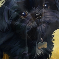 Shih Tzu Housse de Couette Imprimée 3D Douce 3 Pièces Literie Garçons Filles