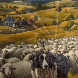 Border Collie Housse de Couette Imprimée 3D Douce 3 Pièces Literie Garçons Filles