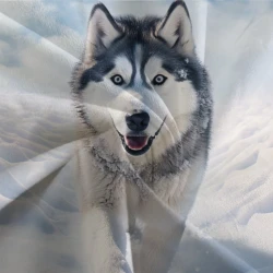 Husky Housse de Couette Imprimée 3D Douce 3 Pièces Literie Garçons Filles