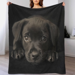 Labrador Chien Plaid en Polaire Imprimé 3D Couverture Douce Confortable pour Canapé Lit Bureau