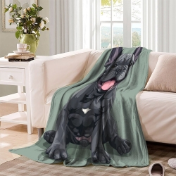 Französische Bulldoggege 3D Gedruckte Fleece-Decke Weiche Gemütliche Decke für Sofa Bett Büro