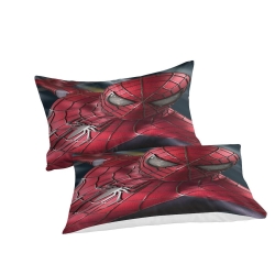 Avengers Spider Man Housse de Couette Imprimée 3D Douce 3 Pièces Literie Garçons Filles