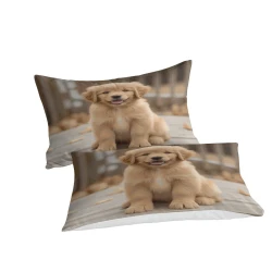 Golden Retriever Housse de Couette Imprimée 3D Douce 3 Pièces Literie Garçons Filles