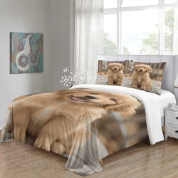 Golden Retriever Housse de Couette Imprimée 3D Douce 3 Pièces Literie Garçons Filles