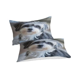 Shih Tzu Housse de Couette Imprimée 3D Douce 3 Pièces Literie Garçons Filles