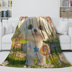 Poodle Chien Plaid en Polaire Imprimé 3D Couverture Douce Confortable pour Canapé Lit Bureau