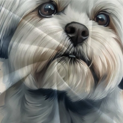 Shih Tzu Housse de Couette Imprimée 3D Douce 3 Pièces Literie Garçons Filles