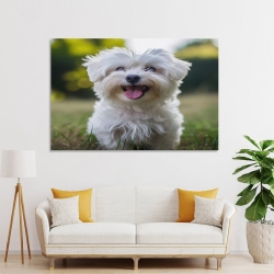 Shih Tzu Peinture sur toile sans cadre, impressions posters art mural pour déco maison chambre bureau