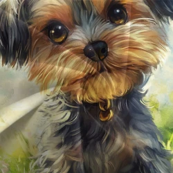 Yorkshire Terrier Housse de Couette Imprimée 3D Douce 3 Pièces Literie Garçons Filles
