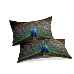 Paon Housse de Couette Imprimée 3D Douce 3 Pièces Literie Garçons Filles