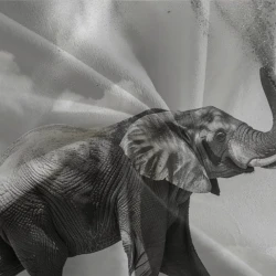 Elefante Copripiumino Stampato 3D Morbido 3 Pezzi Biancheria da Letto per Ragazzi Ragazze