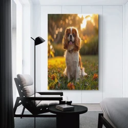 Shih Tzu Peinture sur toile sans cadre, impressions posters art mural pour déco maison chambre bureau