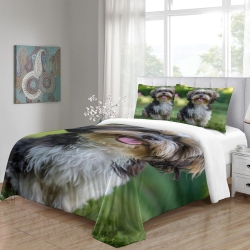 Bichon maltais Housse de Couette Imprimée 3D Douce 3 Pièces Literie Garçons Filles