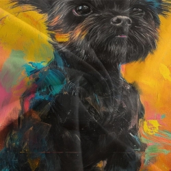 Yorkshire Terrier Housse de Couette Imprimée 3D Douce 3 Pièces Literie Garçons Filles