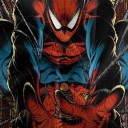 Avengers Spider Man Housse de Couette Imprimée 3D Douce 3 Pièces Literie Garçons Filles