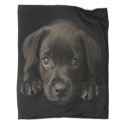 Labrador Chien Plaid en Polaire Imprimé 3D Couverture Douce Confortable pour Canapé Lit Bureau