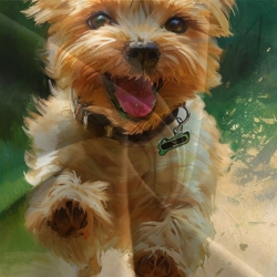 Yorkshire Terrier Housse de Couette Imprimée 3D Douce 3 Pièces Literie Garçons Filles