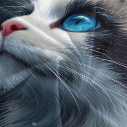 Cute Blue Eyed Chat Housse de Couette Imprimée 3D Douce 3 Pièces Literie Garçons Filles