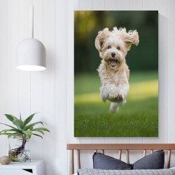 Shih Tzu Peinture sur toile sans cadre, impressions posters art mural pour déco maison chambre bureau