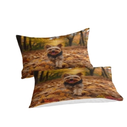 Yorkshire Terrier Housse de Couette Imprimée 3D Douce 3 Pièces Literie Garçons Filles