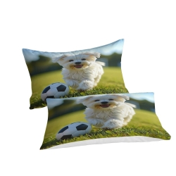 Maltese Dog 3D Printed Duvet Cover Soft 3 Piece Boys Girls Bedding quilt cover